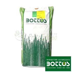Trèfle Repens nain - 25 kg de graines à gazon