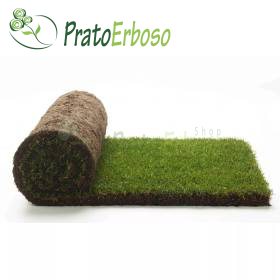 GreenZolla - Abonnement à une litière écologique Prato Erboso - 4