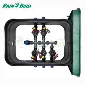PA-DV-5-9V - Pozzetto assemblato da 1" 5 zone Rain Bird - 1