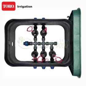 PA-EZP-5 - 1" 5 zone assembled sump TORO Irrigazione - 1