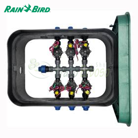 PA-DV-6-9V - Sumidero ensamblado de 1" y 6 zonas Rain Bird - 1