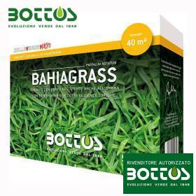 Bahiagrass - Sementi per prato da 500 g