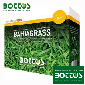 Semințe de gazon Bahiagrass - 500g