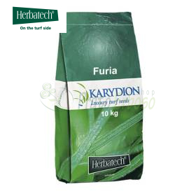 Furia - 10 kg de semillas para césped