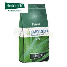 Furia - sementi per prato da 10 kg