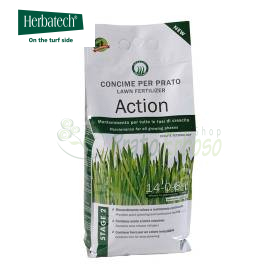 Aktion – 4 kg Rasendünger