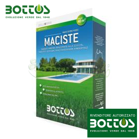 Maciste - 1 kg Lawn Seed