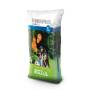 Rinnovaprato - 5 kg of lawn seeds