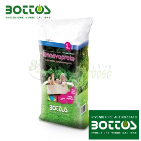 Rinnovaprato - Sementi per prato da 1 kg Bottos - 2
