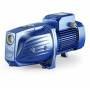 JSWm 3AM - 3 HP single-phase self-priming electric pump