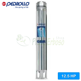 6SR36/9 - HYD - 800 Liter Tauchpumpe Pedrollo - 1