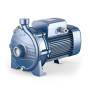 CP 160A - 3 PS dreiphasige elektrische Kreiselpumpe