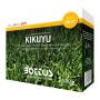 Kikuyu - 500g semințe de gazon