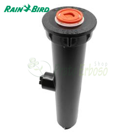 1812 - Sprinkler concealed by 30 cm