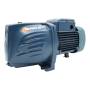 FUTURE JETm 2C - Elettropompa autoadescante monofase da 1 HP