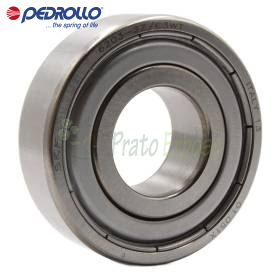 6203 ZZ-C3E - Kushineta topash 17x40x12 mm Pedrollo - 1