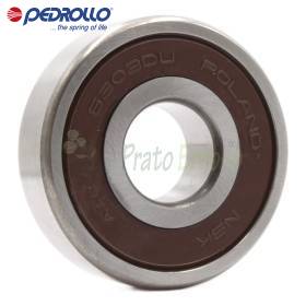 6303 2RS-C3 - Roulement à billes 17x47x14 mm Pedrollo - 1