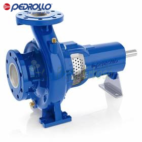 FG2-65/200B - Pompă centrifugă standardizată cu suport Pedrollo - 1