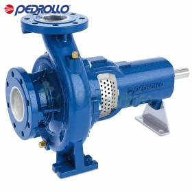 Pedrollo FG2-100/160C Kreiselpumpe – robustes Standardmodell