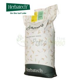 Rustico - Sementi per prato da 15 kg Herbatech - 1