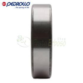 6206 2RS-C3E - Rulment cu bile 30x62x16 mm Pedrollo - 1
