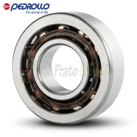 Kushineta me sfera 7203 B 17x40x12 mm për Pedrollo