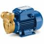 PQ 80-Bs - Pompă electrică trifazată cu rotor periferic de 1 CP