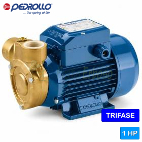PQm 81-Bs - Pompă electrică cu rotor periferic monofazat de 0,75 CP