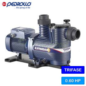 Elettropompa MAGNIFICA 1R per piscine