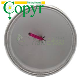 Copyr Smoke - Insetticida fumogeno da 60 gr