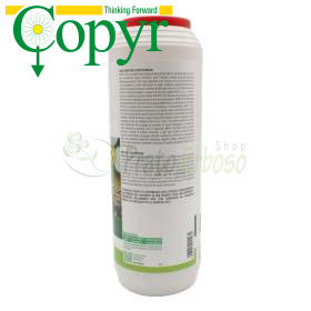 Antax Plus - 1 kg mikrogranuliertes Insektizid Copyr - 1