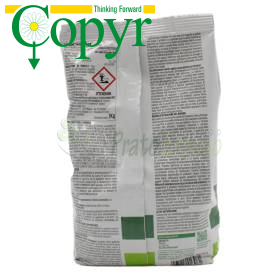 Sprin Polvere - Insecticide Powder Copyr - 1