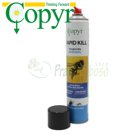 Schnell wirkend – 750 ml Insektizid-Aerosol Copyr - 1
