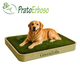 GreenZolla - Ecological litter made from real grass Prato Erboso - 1