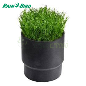 SOD CUP - support de gazon Rain Bird - 1
