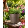 Save pot - Vaso tondo da 29 cm camel OFFERTA