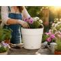 Save pot - Vaso tondo da 38 cm bianco