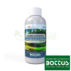Wintergreen 500ml - Ngjyrë jeshile për lëndina makrotermale