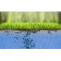 Water Plus - 1L lawn surfactant and wetting agent OFFER