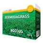 Bermudagrass - 500g Lawn Seed OFFER