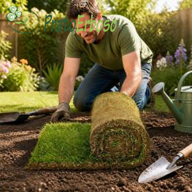 20 m2 of ready-made lawn in rolls Prato Erboso - 1