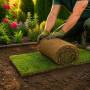 165 m2 de gazon gata făcut în rulouri