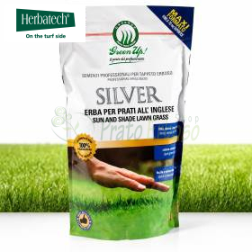 Silver – 1,2 kg Rasensamen Herbatech - 1