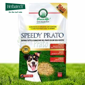 Speedy Prato - Sementi per prato da 1.5 kg