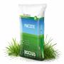 Maciste - 20 kg Lawn Seed