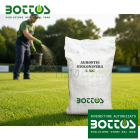 Agrostide Stolonifera Alpha - 1 kg Farë Lëndinë Bottos - 1