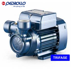 PQ 61 - 0.40 HP three-phase peripheral impeller electric pump Pedrollo - 1