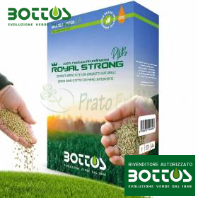 Royal Strong Plus – 1 kg Rasensamen Bottos - 1