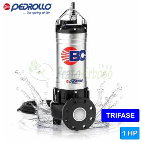 BC-4 - Elettropompa BICANALE per acque luride monofase da 1 HP Pedrollo - 1
