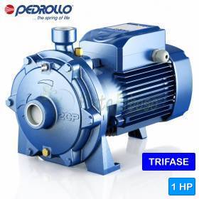 2CP 25/130 - 1 PS dreiphasige Kreiselpumpe mit Doppellaufrad